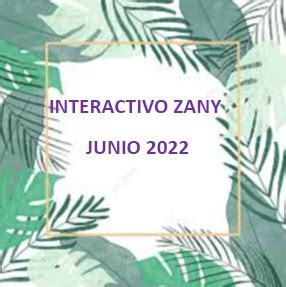 INTERACTIVO ZANY 1º A 6º GRADO .